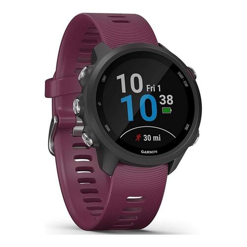 Smartwatch GARMIN FORERUNNER Grå