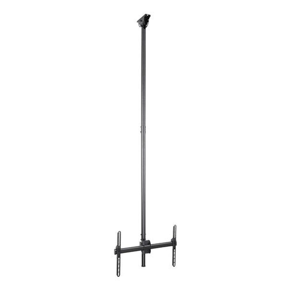 Tv Holder Startech Fpceilptblp 50 Kg 32  " 75  "