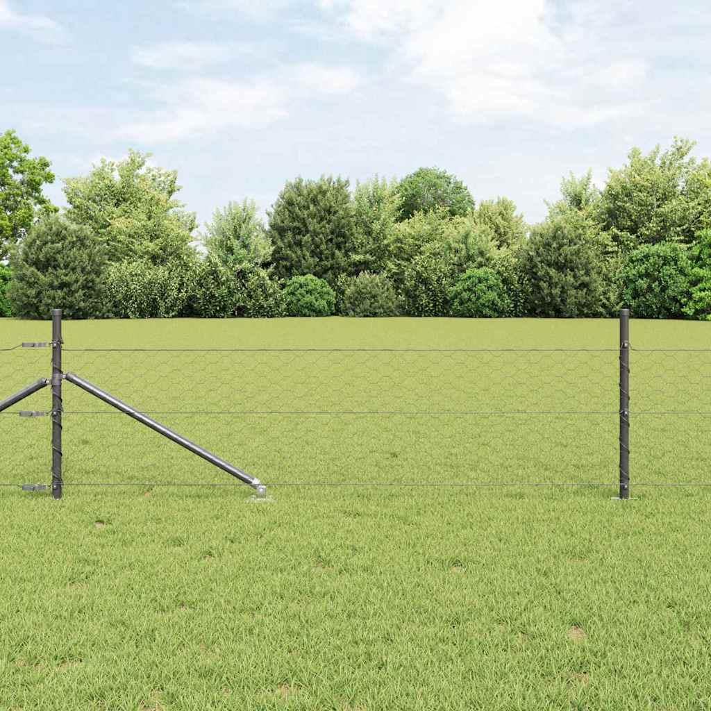 Svejset trådhegn med spidser - 100 x 0,8 m, PVC-belagt stål