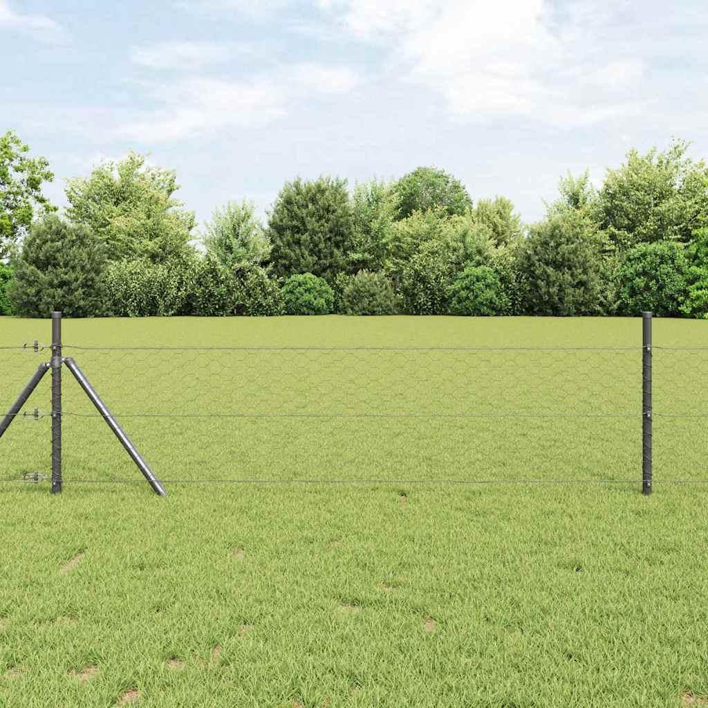 Hexagon Hegn Grå 1.4 x 100 m Stål
