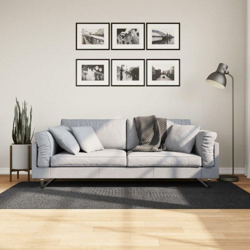 Gulvtæppe IZA 100×200 cm - kort luv, skandinavisk look, antracitgrå