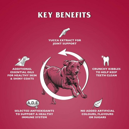 Dr. John Silver hundefoder med oksekød - 15 kg