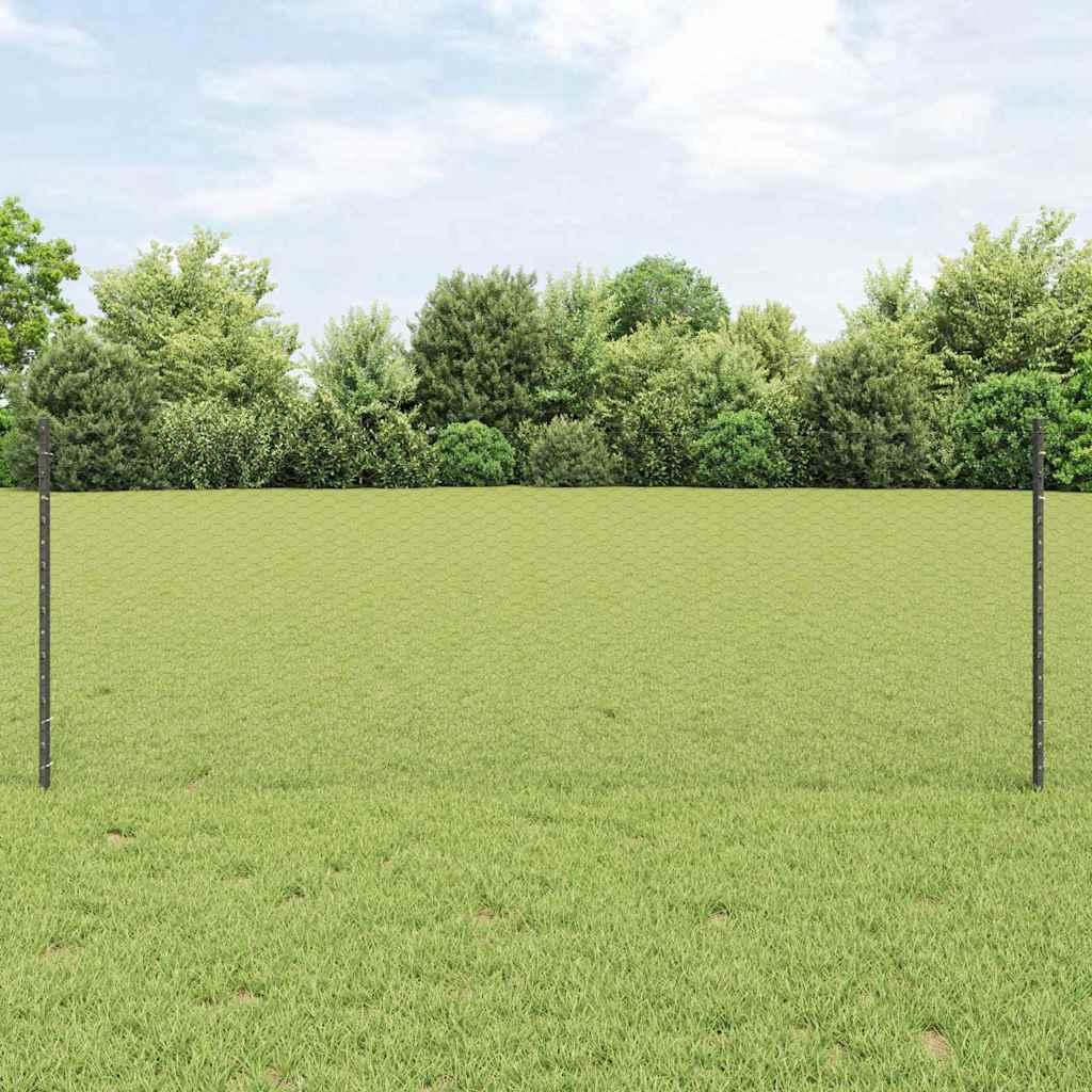 Svejset trådhegn 10 x 0,8 m - PVC-belagt stål, grå mesh