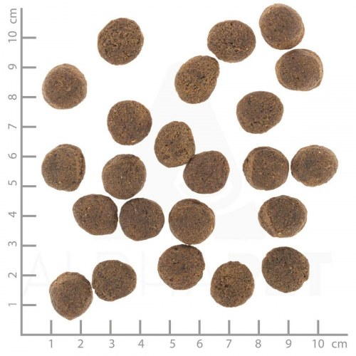 Wolfsblut VetLine Gastrointestinal hundefoder - And & Sød kartoffel 2 kg