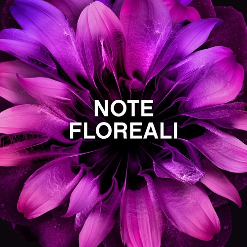 Skyllemiddel til tøjvask Lenor Unstoppables - koncentreret duft