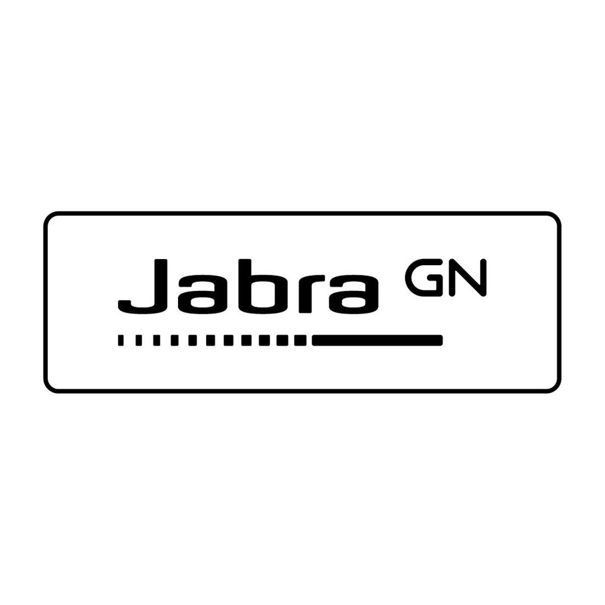 Jabra Evolve 20 SE – kablet mono-headset til kontor/callcenter, USB-C/USB-A – sort