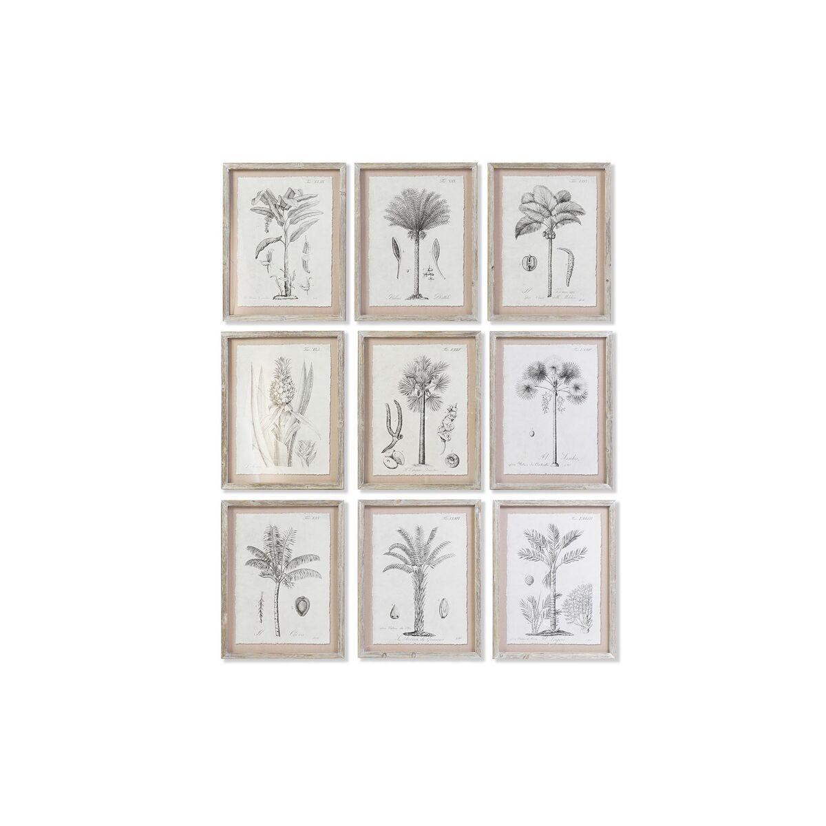Billeder med ramme palmer kolonistil 35 × 45 cm - 9 stk.