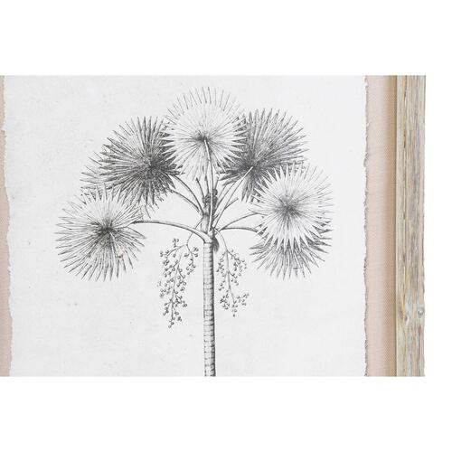 Billeder med ramme palmer kolonistil 35 × 45 cm - 9 stk.