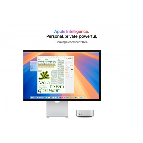 Stationær PC Apple Mac mini M4 24 GB/512 GB (sølv)