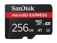 Hukommelseskort microSDXC - SanDisk Express 256 GB, op til 880 MB/s billede