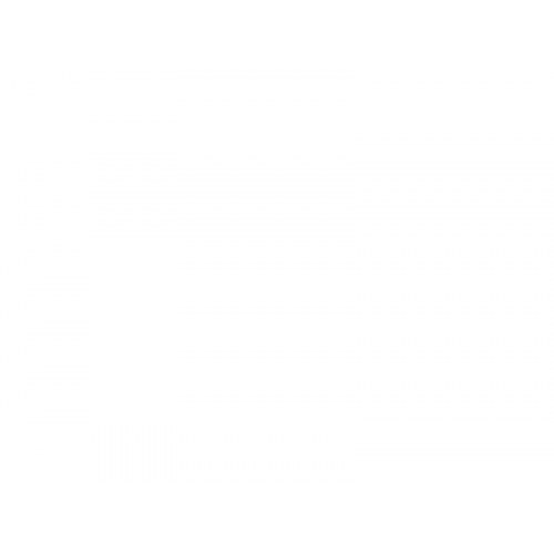 Trådløse høretelefoner Sony PULSE Elite – hvid