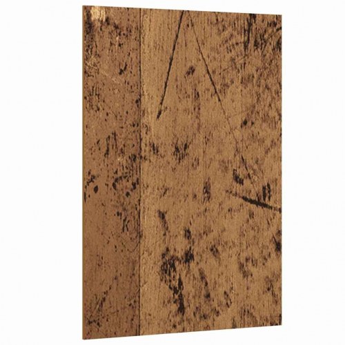 Dekorpaneler 12 stk. gammelt træ 15 x 21 cm