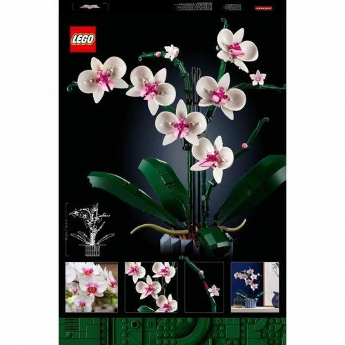 LEGO Icons 10311 Orkidé - byggesæt til voksne