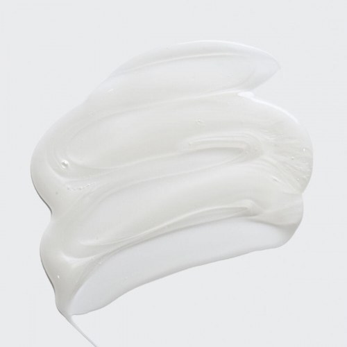 Shampoo til tørt hår Sisley Hair Rituel 500 ml