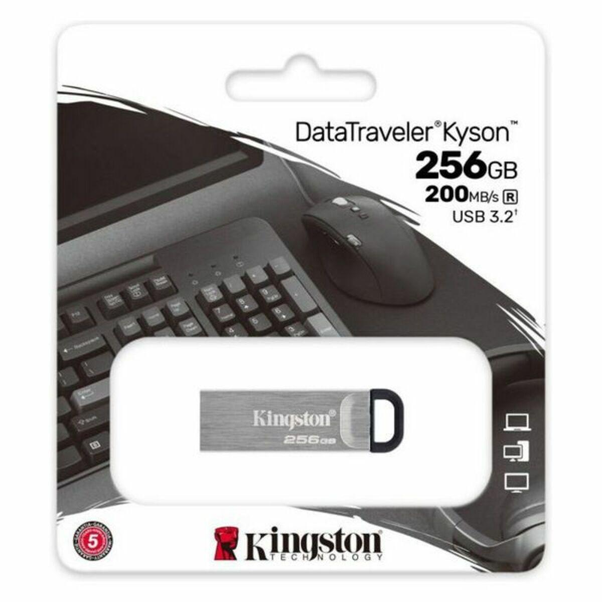 USB stick Kingston DTKN/256GB 256 GB USB 3.2 Sort 256 GB