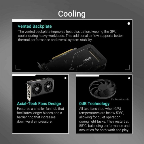 Grafikkort Asus GeForce RTX 5050 8 GB GDDR6 (Dual, OC)