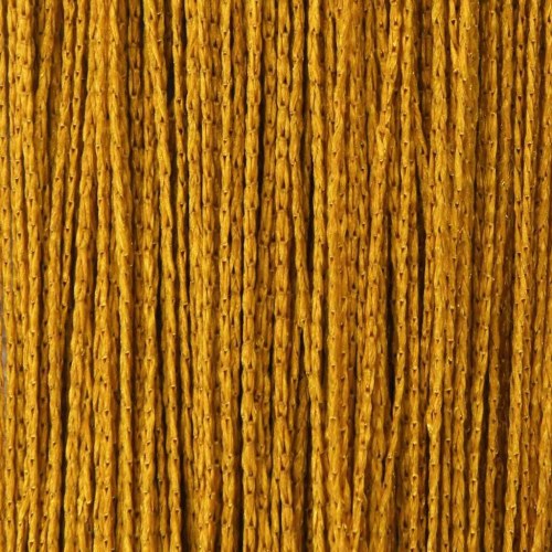 Trådgardiner - 2 stk. 100×250 cm - gylden snoregardin