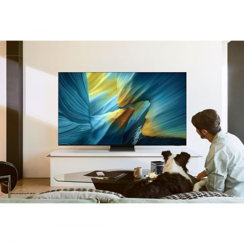 TV Samsung 83" OLED 4K Ultra HD HDR (TQ83S95F) (OUTLET B)