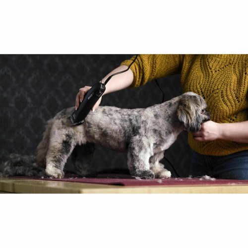 Hårklipper til husdyr Moser max45 - 45 W, sort (OUTLET A)