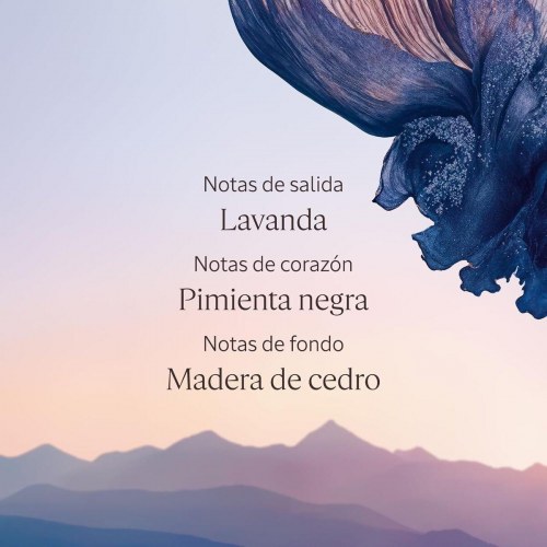 Deodorant spray L’Occitane en Provence Lavande Poivre Noir