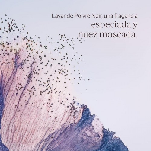 Deodorant spray L’Occitane en Provence Lavande Poivre Noir