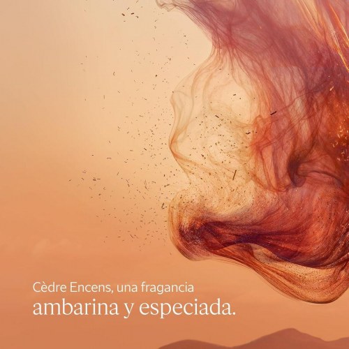 Deodorant spray L'Occitane en Provence Cèdre Encens