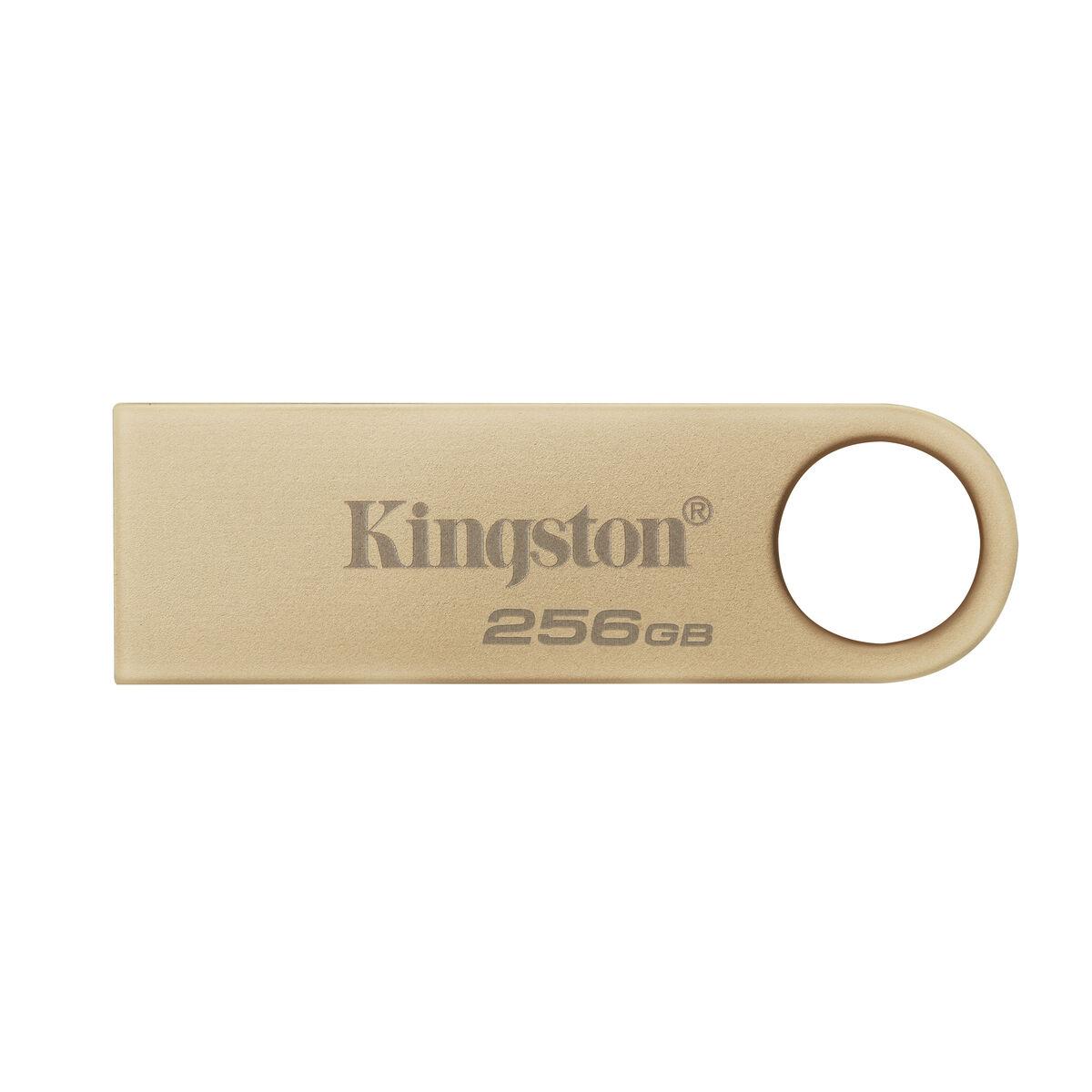 USB-stik Kingston DTSE9G3/256GB Gylden 256 GB (1 enheder)
