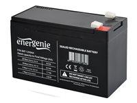 UPS batteri 12V 9Ah - Gembird BAT-12V9AH billede