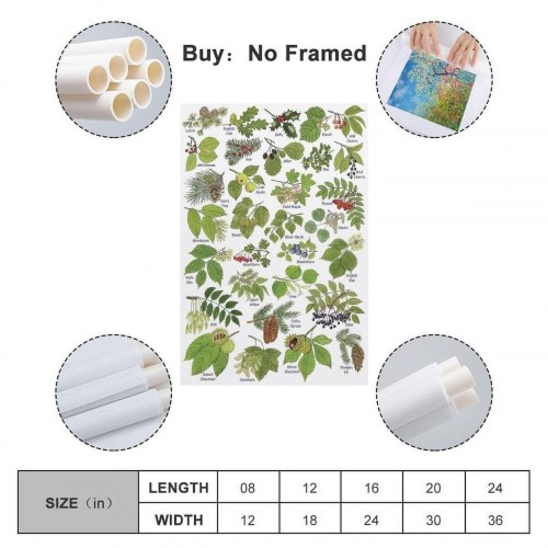 Skærm Samsung 24" Full HD LS24F320GAUXEN