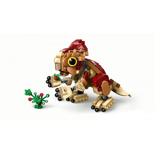 LEGO Jurassic World 76970 Baby-dinosaur – Dolores Aquilops