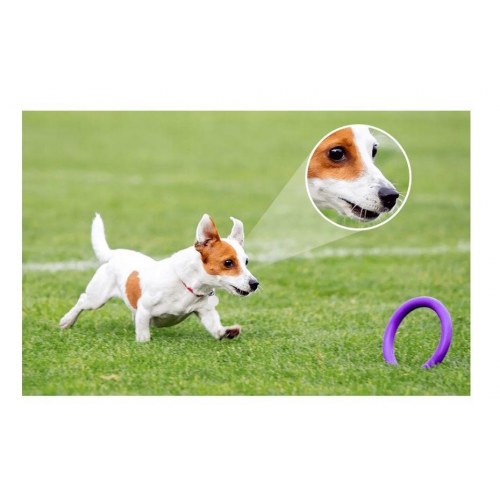 Overvågningskamera Wi‑Fi Imou Bulb Cam 5MP IPC‑S6DP, 5 MP (2880 × 1620)