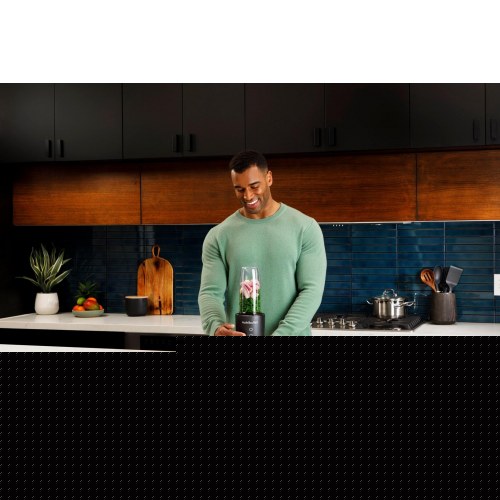 Blender Nutribullet NB1206DGCC 0,9 l – bordblender 1.200 W, sort/transparent