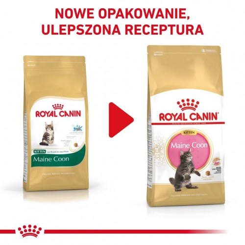 Tørfoder til kat – Royal Canin Maine Coon Kitten 400 g