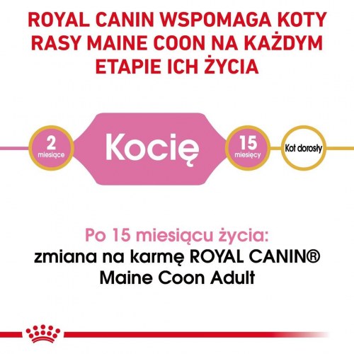 Tørfoder til kat – Royal Canin Maine Coon Kitten 400 g