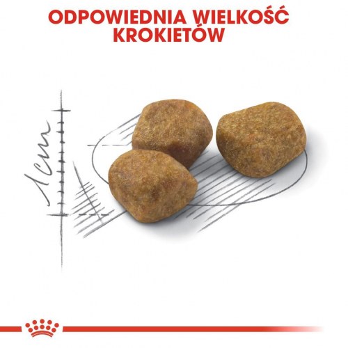 Kattemad tørfoder Royal Canin Regular Fit 32 400 g - voksen kat, kylling/majs