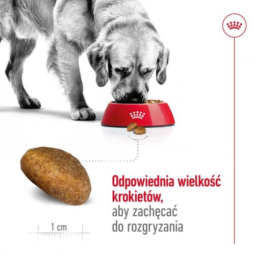 Hundefoder Royal Canin Maxi Adult tørfoder – 15 kg