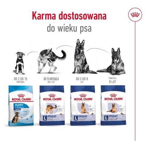 Hundefoder Royal Canin Maxi Adult tørfoder – 15 kg