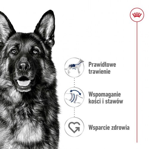 Hundefoder Royal Canin Maxi Adult tørfoder – 15 kg