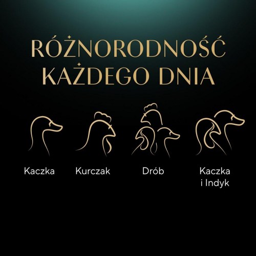 Vådfoder til kat – Sheba Selection Select Slices Fjerkræsmage, 40 × 85 g