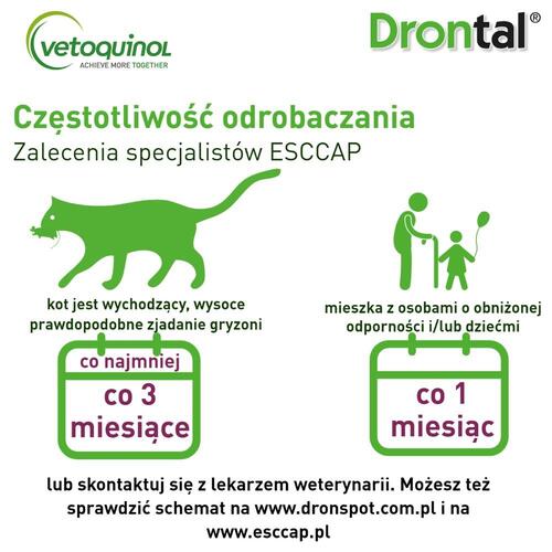 Ormekur til kat – Vetoquinol Drontal tabletter, 2 stk.