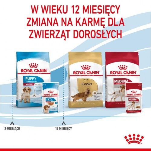 Hundefoder vådfoder Royal Canin Medium Puppy i sauce – 10×140 g