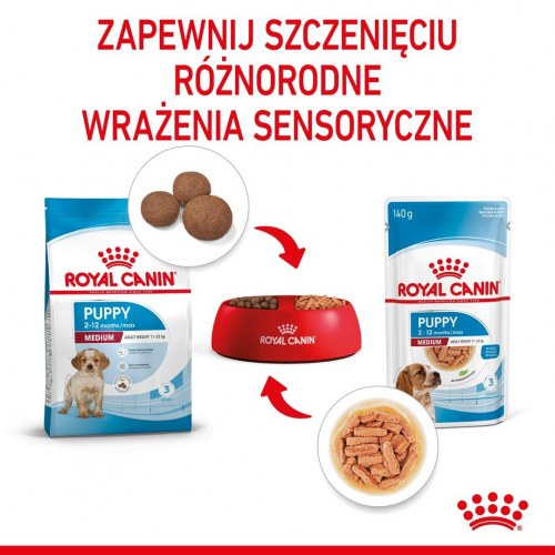 Hundefoder vådfoder Royal Canin Medium Puppy i sauce – 10×140 g