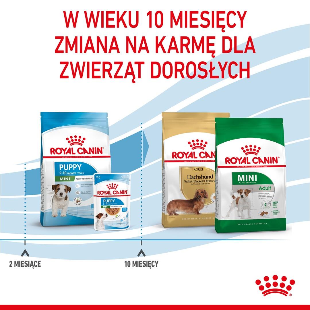 Hundefoder til hvalp mini – Royal Canin tørfoder 8 kg