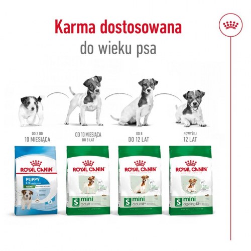 Hundefoder tørfoder Royal Canin Mini Adult 8 kg