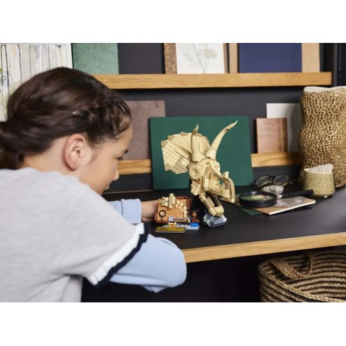 LEGO Jurassic World dinoskelet - Triceratops-kranium (76969)