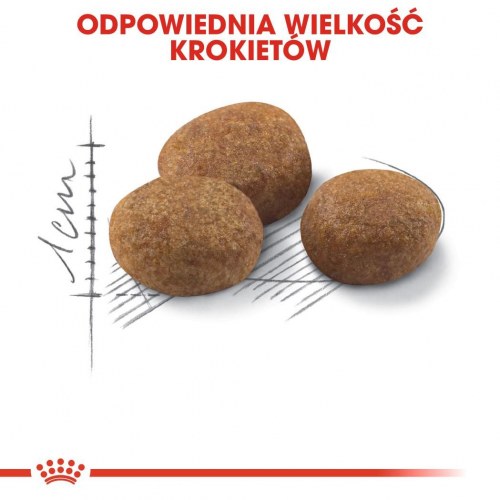 Kattemad Royal Canin Sterilised 7+ tørfoder - 10 kg