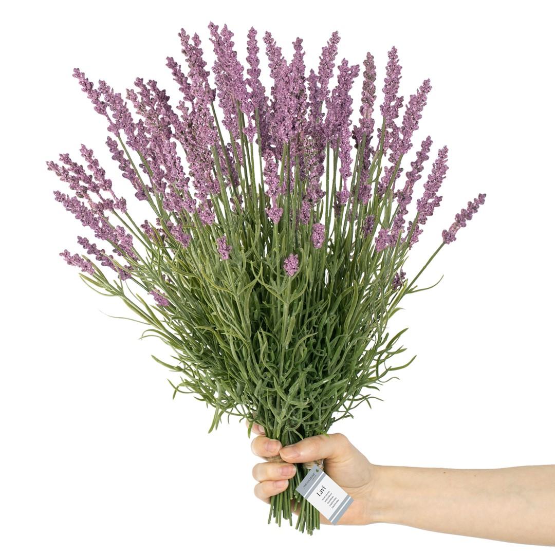 Kunstig lavendel-buket Lavi - violet - AmeliaHome