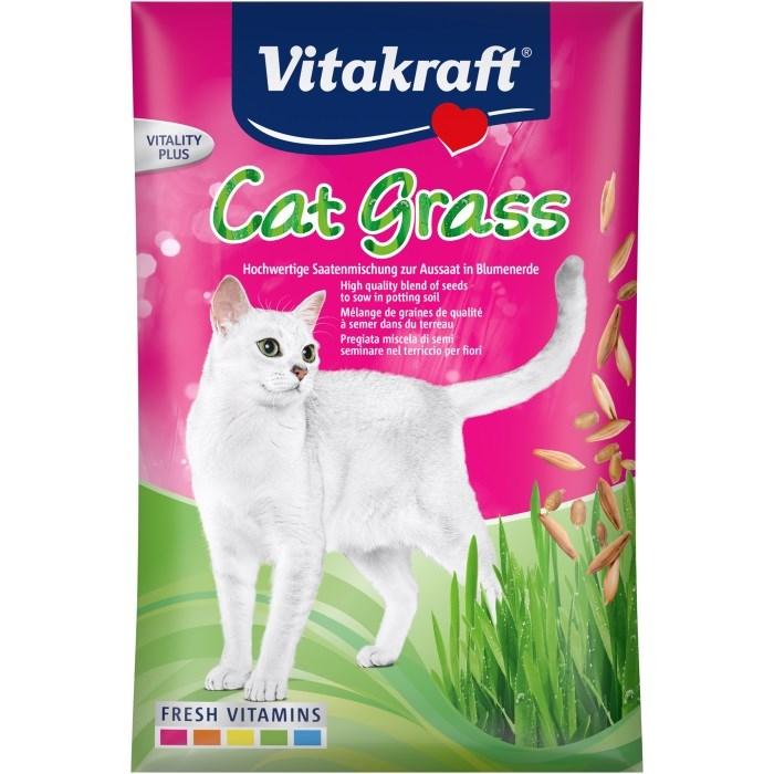 Kattegræs Vitakraft - frø til kattegræs, 50 g