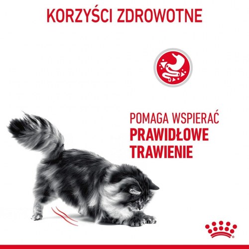 Kattemad tørfoder Royal Canin Digestive Care Adult 400 g