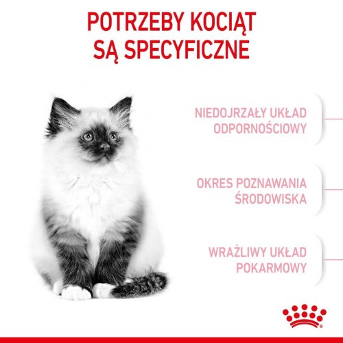 Kattemad tørfoder Royal Canin Kitten 4 kg